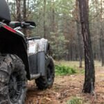 Alberta Marks National Forest Week by Highlighting Forests, Jobs and Wildfire Prevention