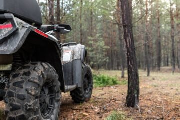 Alberta Marks National Forest Week by Highlighting Forests, Jobs and Wildfire Prevention