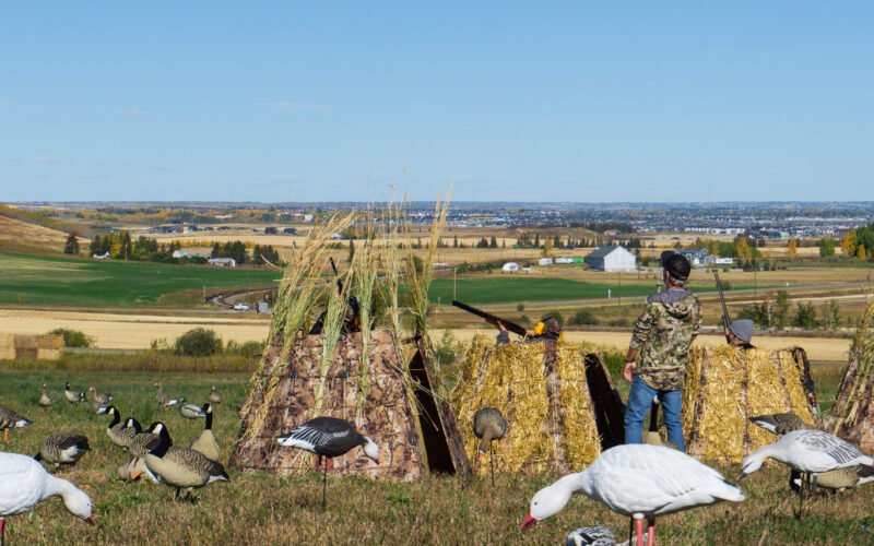Alberta Marks Provincial Hunting Day With Focus on Conservation and Responsible Stewardship