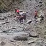 Rain Triggers Fresh Blockage on Kedarnath Trek Route, Pilgrim Movement Put on Hold