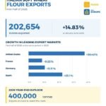 Italian Soft Wheat Flour Exports Maintain Positive Momentum, Driven by the Commitment and Capabilities of the Italian Milling Industry