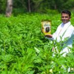 Vardaan Emerges as a Promising Nature-Based Alternative to DAP, Enhancing Soil Health